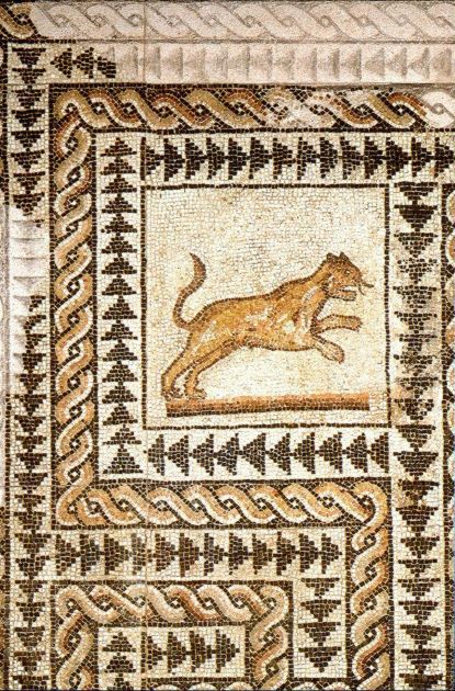 San Giovanni in conca: mosaico rinvenuto