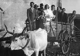 Matrimonio in cascina